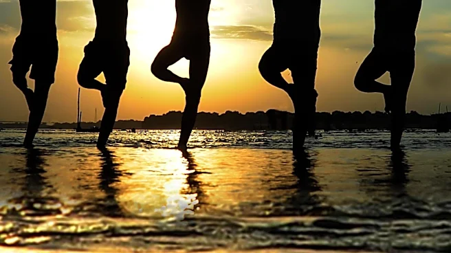 Alameda Yoga and Wellness Festival Promotes Community Wellbeing with Diverse Offerings