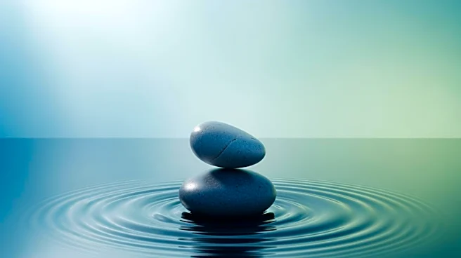 Retreator Launches Platform for Booking Global Wellness Retreats, Enhancing Traveler Experience