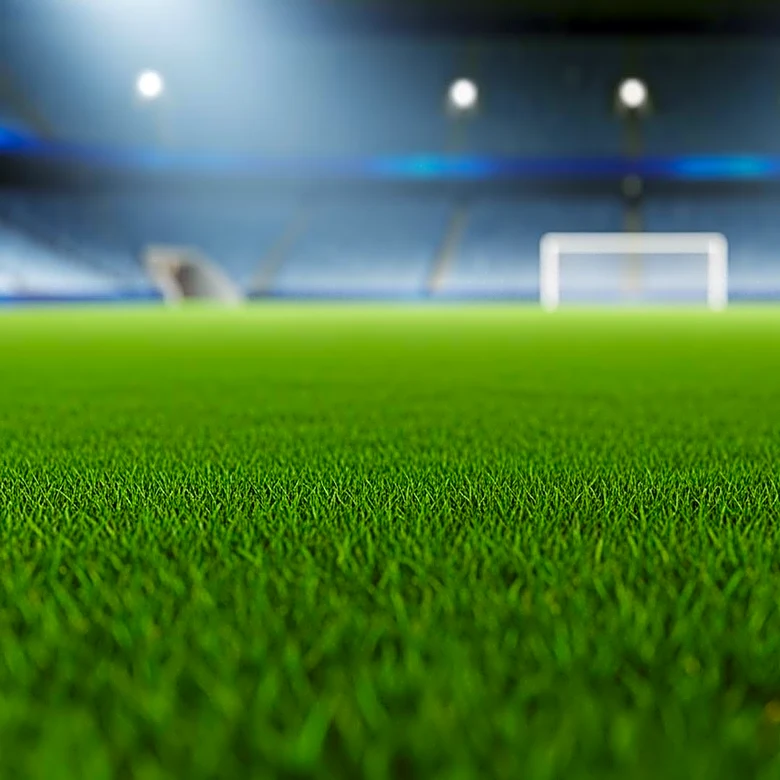 Concerns Over Raymond James Stadium Pitch Ahead of England's Friendly