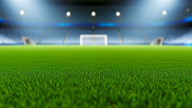Concerns Over Raymond James Stadium Pitch Ahead of England's Friendly