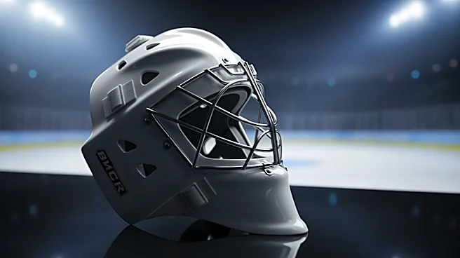 Andrei Vasilevskiy Wins Vezina Trophy, Leading Tampa Bay Lightning to Postseason