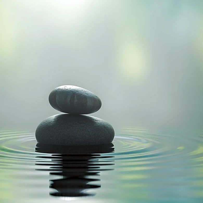 Retreator Launches Platform for Global Wellness Retreat Bookings, Enhancing Traveler Experience