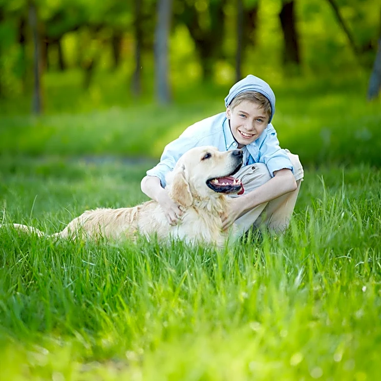 Golden Retriever's Bond with Baby Transforms Mother's Fear into Heartwarming Tale