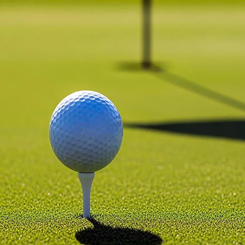 Scottie Scheffler's Golf Performance Highlights Role of Excuses in Sports