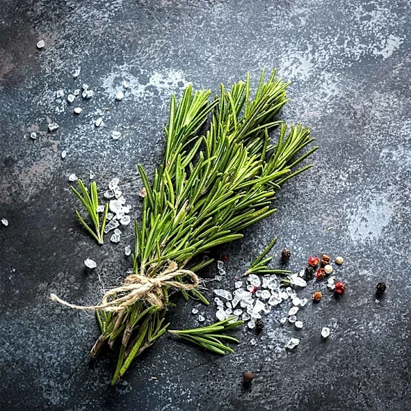 Dietitians Recommend Rosemary for Reducing Inflammation and Promoting Health