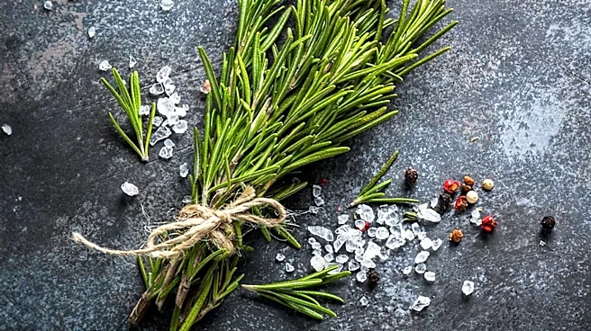 Dietitians Recommend Rosemary for Reducing Inflammation and Promoting Health