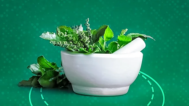 Aging and Digestive Health: Understanding the Impact and Solutions