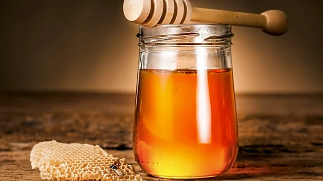 Marina Marchese: America's First Honey Sommelier Educates on Honey Authenticity