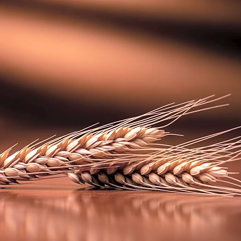 Ingredion Acquires Tate Lyle in £2.7 Billion Deal, Creating Global Ingredient Powerhouse