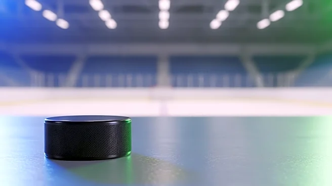 Vancouver Canucks Sign KHL Forward Ilya Safonov to Enhance Roster Depth