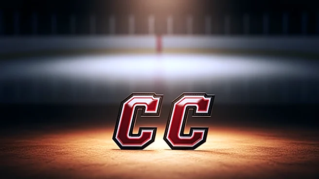 Leadership of Captains Jordan Staal and Mark Stone Analyzed in Stanley Cup Finals