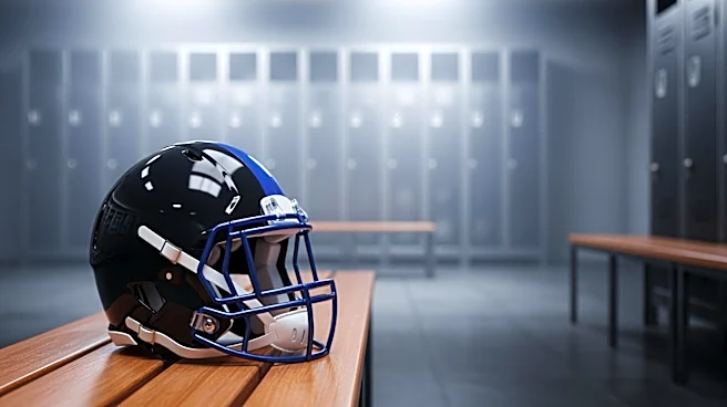 Carolina Panthers Waive Heinrich Haarberg After Brief Tenure