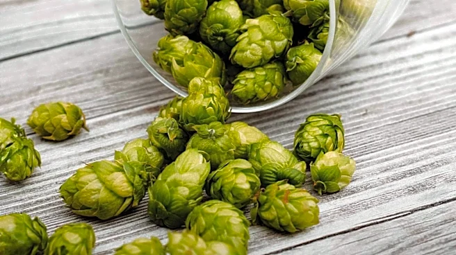 Historic Beer Recipe Revived for America's 250th Birthday Celebration