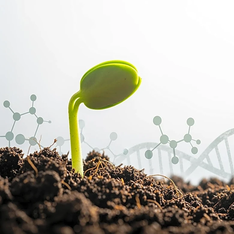 Cibus Appoints Craig Wichner as CEO to Drive Growth and Innovation in Agricultural Biotechnology