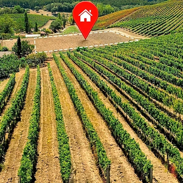 Napa Valley Ranch with Vineyard Listed for $100 Million, Offering Unique Investment Opportunity