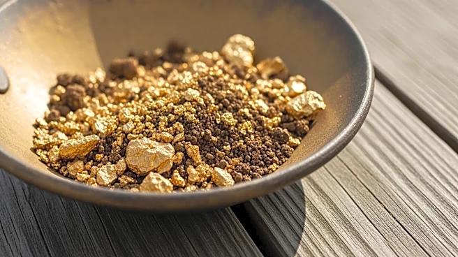 Pacific Resources Advances Gold Exploration at Coupon Prospect