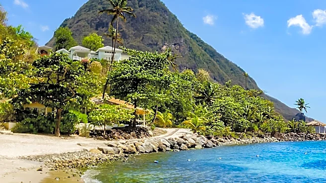 TheLifeCo Launches Caribbean's First Longevity Village in St. Lucia, Aiming to Transform Wellness Tourism