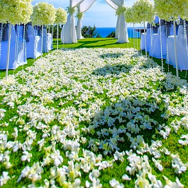 Hotels Enhance Wedding Experiences to Boost Revenue During Peak Season