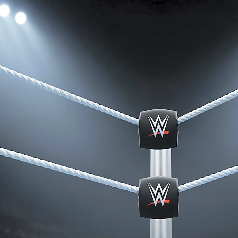 Raj Dhesi Discusses Conditions for Potential WWE Return