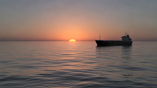 CMA CGM Chief Warns Against Assuming Hormuz Will Return to Pre-War Conditions