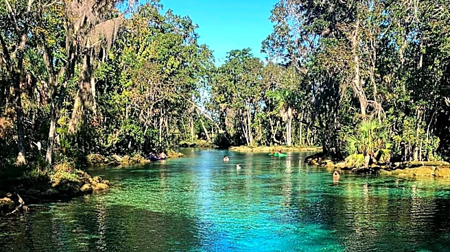 Florida's Most Treasured Views Highlight Historical and Natural Landmarks