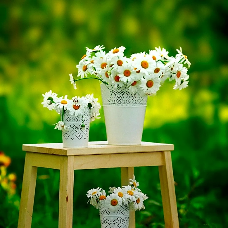 Clarendon Hills Hosts Annual Daisy Days Event to Celebrate Community Spirit