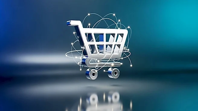 Retail Sector Shifts to 'Control Economy' as Digital Channels Dominate Growth