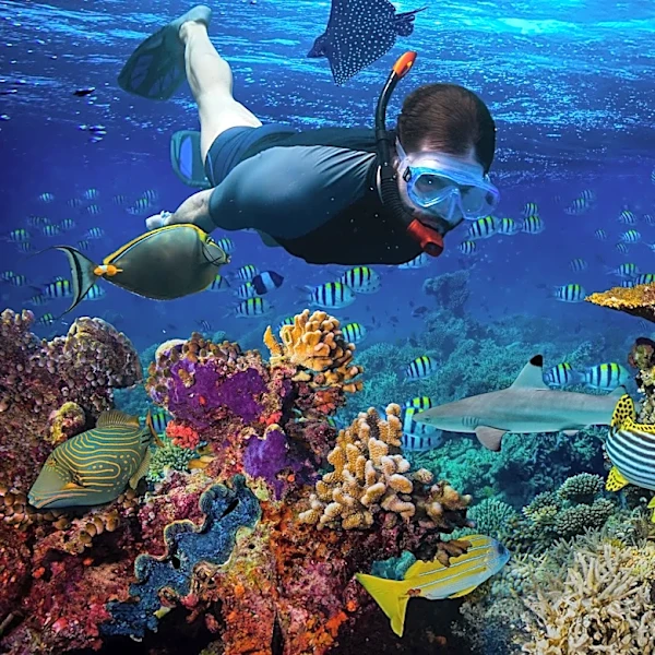 Mall of America Reintroduces Snorkeling Experience for Visitors