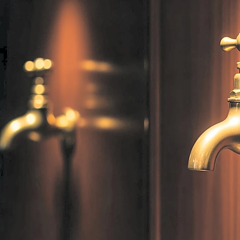 Victorian Plumbing Group's Market Valuation Highlights Potential Growth Opportunities