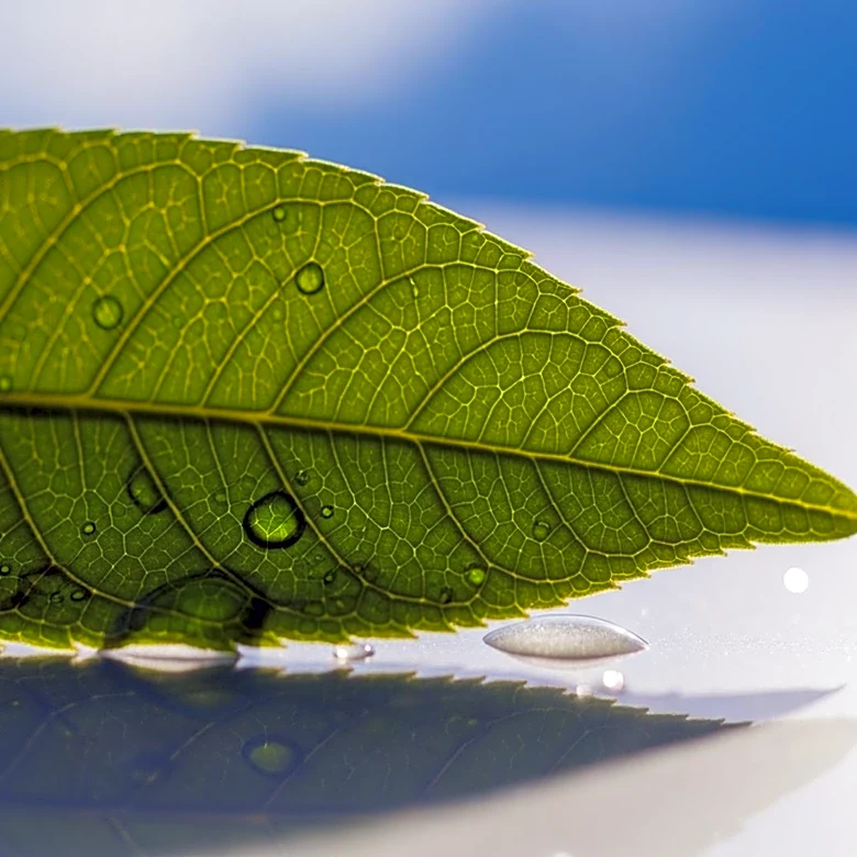 Jabil Achieves Significant Emissions Reductions, Sets New Sustainability Goals