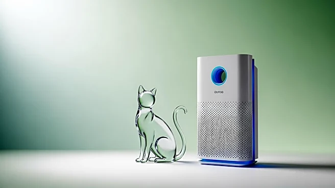 Doctors Advise on Managing Cat Allergies with New Products and Strategies