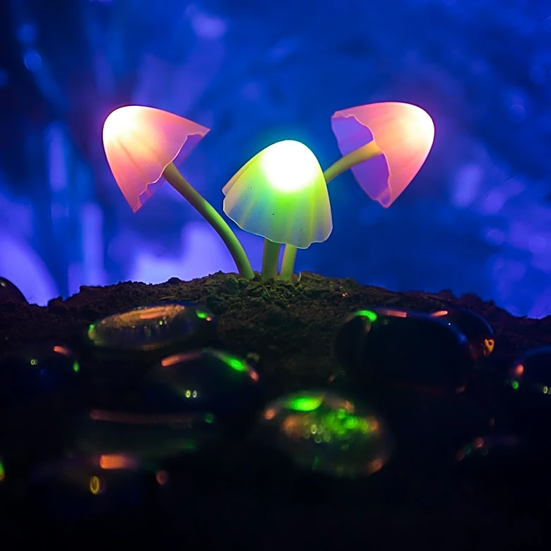 Lightscape 2026 Transforms Melbourne's Royal Botanic Gardens with New Installations