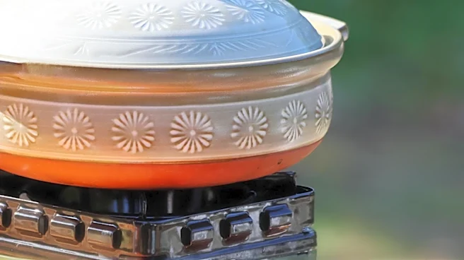 Portable Ovens Enhance Camping Culinary Experiences
