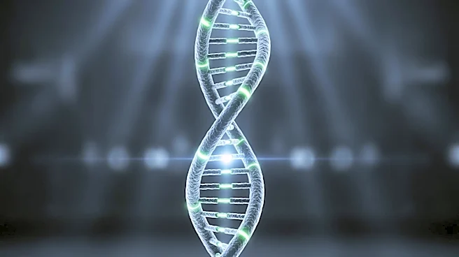 Voyager Therapeutics to Present at Neuro Perspectives Conference, Highlights Gene Therapy Advances