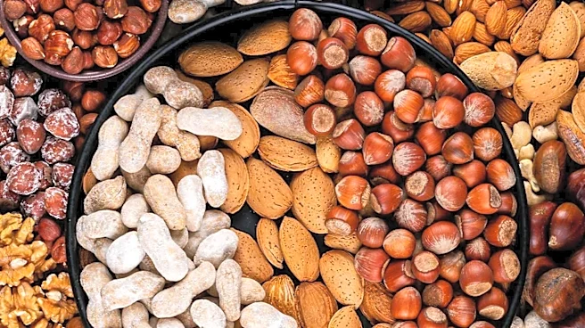 Evaluating the Healthiness of High-Protein Snacks: Expert Insights