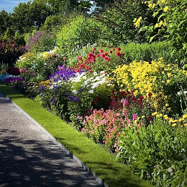 Longwood Gardens Thrives with Volunteer Support: A Summer of Blooming Beauty