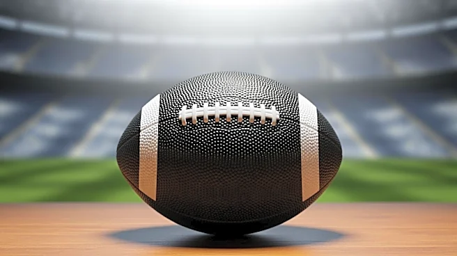 Japan Football Association Announces Wataru Endo's Withdrawal from World Cup and Retirement