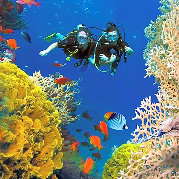 Hamanasi Adventure  Dive Resort in Belize Achieves Top Global Ranking