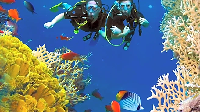 Hamanasi Adventure Dive Resort in Belize Achieves Top Global Ranking