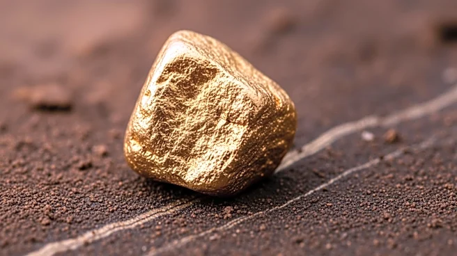 GoGold Resources Advances Los Ricos South Project with Construction Approval