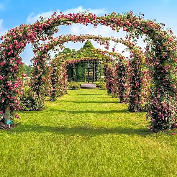 Longwood Gardens Thrives with Volunteer Support Amid Summer Season
