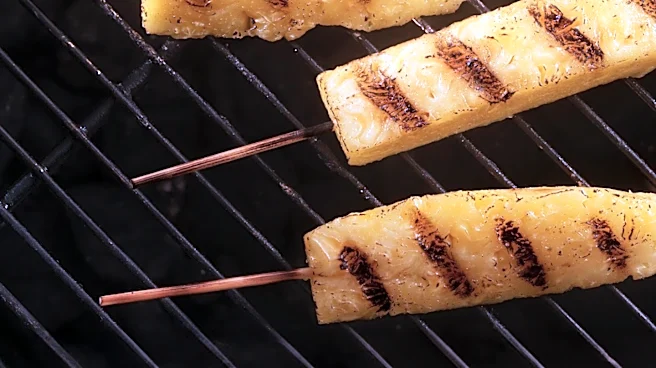 Puritan Company Showcases Grilling Options for Father's Day