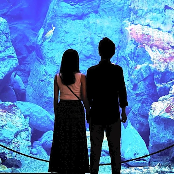 Westways Weekender Highlights Monterey's Natural Attractions and Aquarium