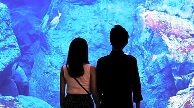 Westways Weekender Highlights Monterey's Natural Attractions and Aquarium