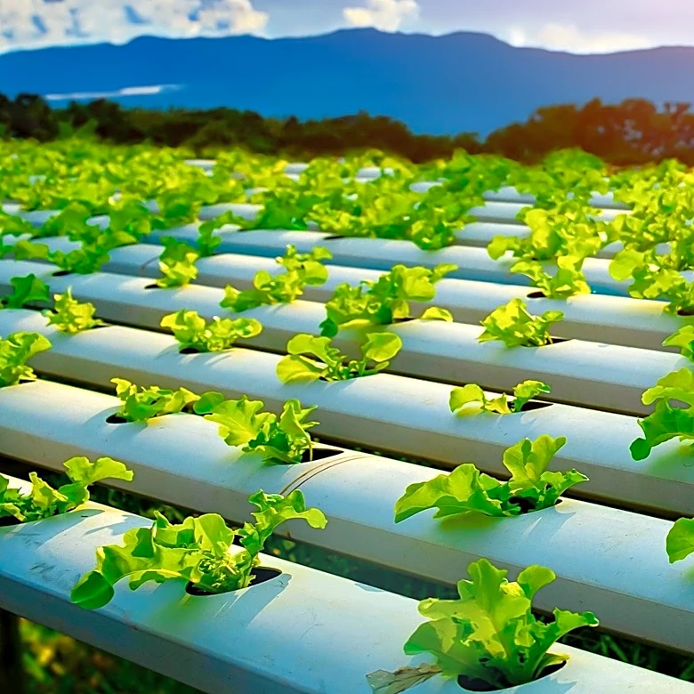Morris Area Garden Club Hosts Sustainable Farming Talk to Promote Eco-Friendly Practices