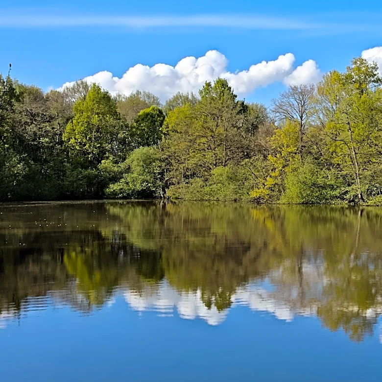 Rhode Island's Norman Bird Sanctuary Offers Expansive Natural Retreat