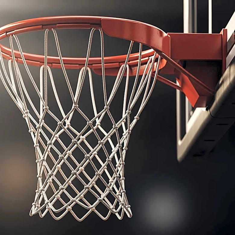 New York Knicks' Resilience Highlighted in Playoff Performance