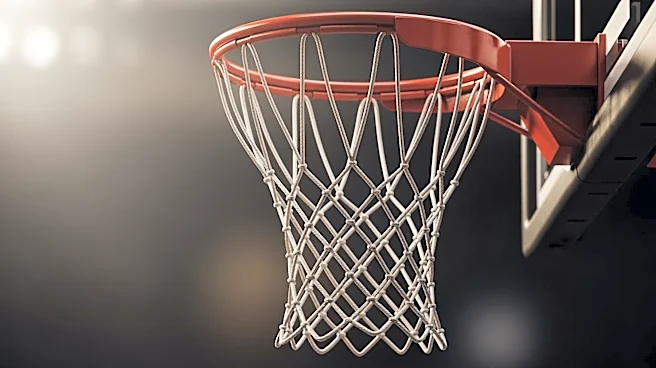 New York Knicks' Resilience Highlighted in Playoff Performance
