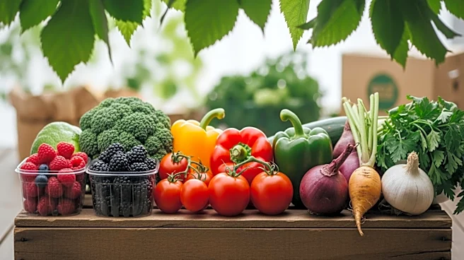 Supply Chain Disruption Prompts Increased Investment in Sustainable Food Production