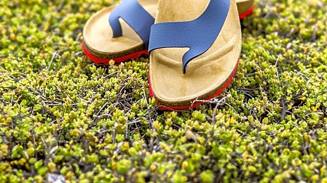 Nordstrom Offers Birkenstock Sandals at Discounted Price During Summer Sale